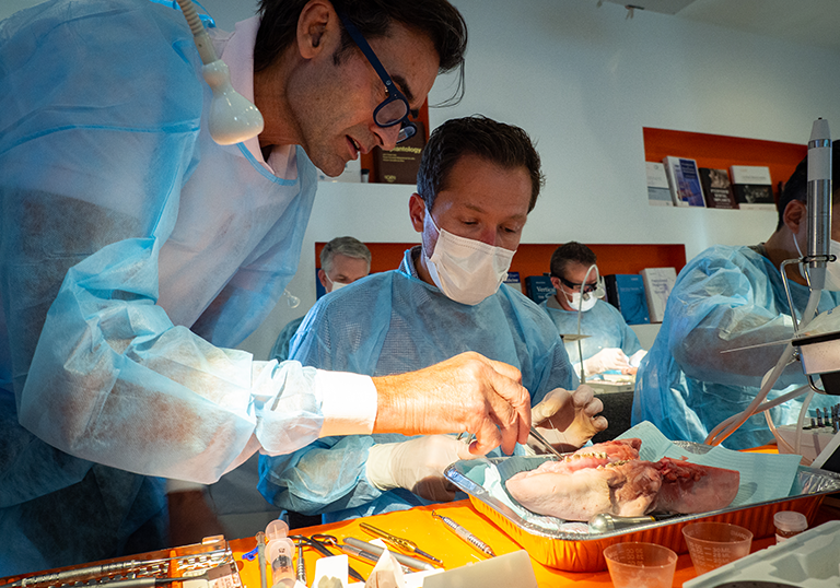 Image gallery marquee